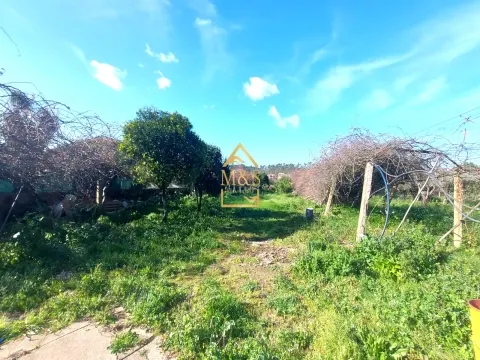 Moradia T4 com Piscina  - Vila Conde