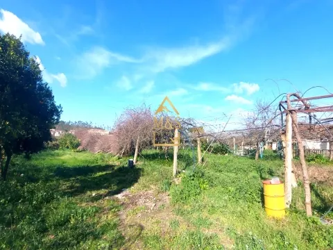 Moradia T4 com Piscina  - Vila Conde