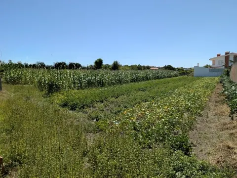 Terrains constructibles - São Bernardo