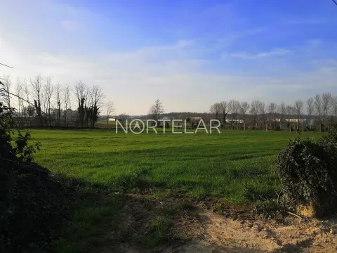 Terreno rústico com 6000m2 em Santiago de Bougado, Trofa