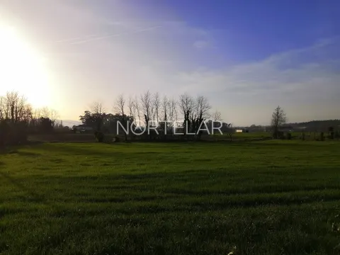 Terreno rústico com 6000m2 em Santiago de Bougado, Trofa