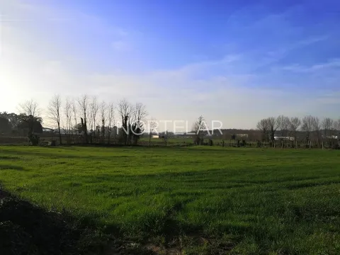 Terreno rústico com 6000m2 em Santiago de Bougado, Trofa