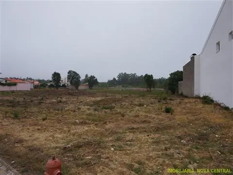 Piece of Real Estate