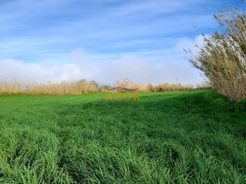 Terreno nos Mosteiros