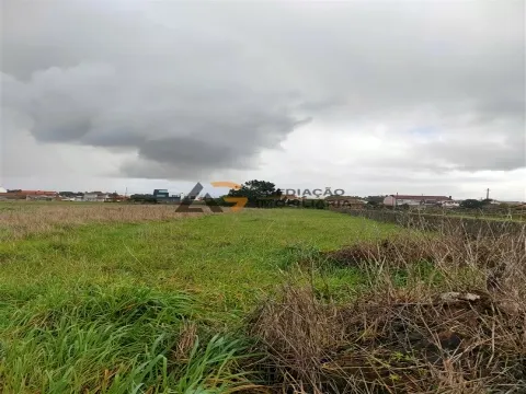 Terremo Rustico à venda na Gafanha da Encarnação 