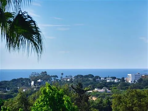 1 bedroom apartment with sea view