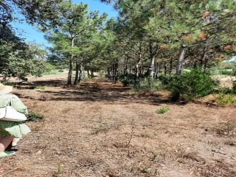 Terreno Rústico com 11 640 m2 em Aljezur