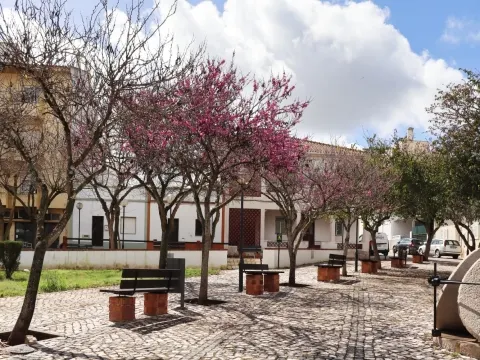 Loja no centro de algoz