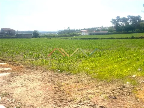 Terreno Para Construção