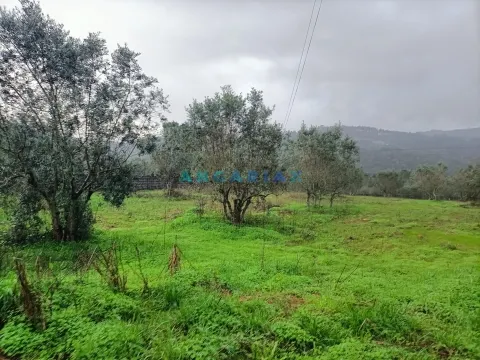 ANG1576 - Terrain à Vendre à Santa Catarina da Serra