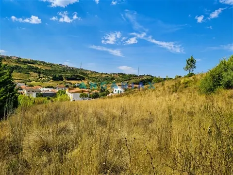 img_10