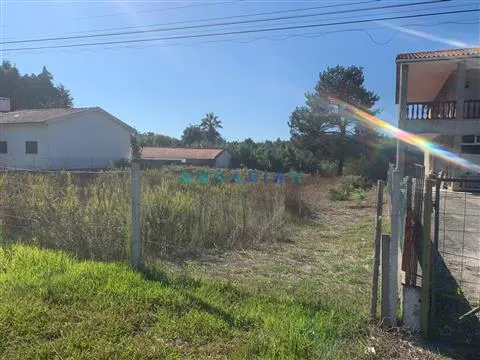 ANG319 - Land with 2000m2 for sale in São Jorge