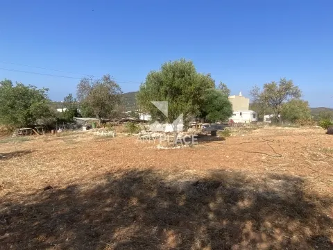 Excelente finca con chalet a reformar situada en una zona tranquila y valorada.