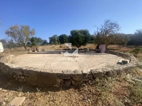 Excelente finca con chalet a reformar situada en una zona tranquila y valorada.