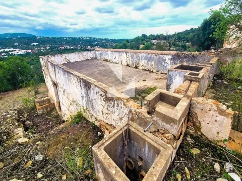 Propriedade com Potencial de Desenvolvimento Turístico ou Residencial.