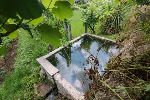 Fattoria con 6125 m2 a Pencelo, Guimarães