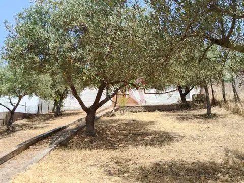 Single storey 1 bedroom villa to restore in Santo Aleixo da Restauração – Moura