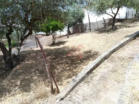 Single storey 1 bedroom villa to restore in Santo Aleixo da Restauração – Moura