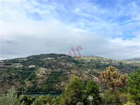 img_9