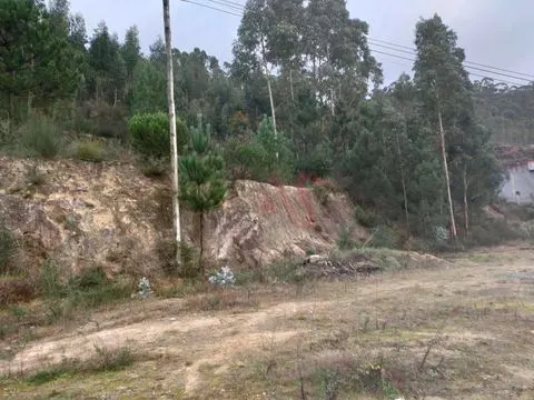 Terreno rústico com 4.884 m² em Santa Eulália, Vizela