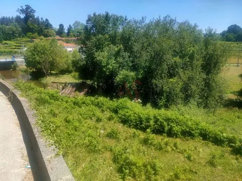 Fattoria di 19000m2 di cui 2000m2 urbanizzabili, composta da casa, mulino e altri 5 a Lousada