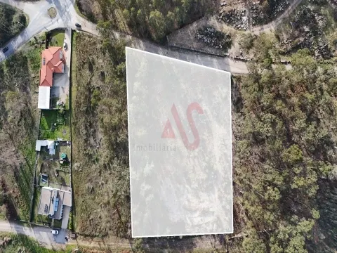 Terreno para Construção em Sanfins – 5.300 m² | Excelente Oportunidade