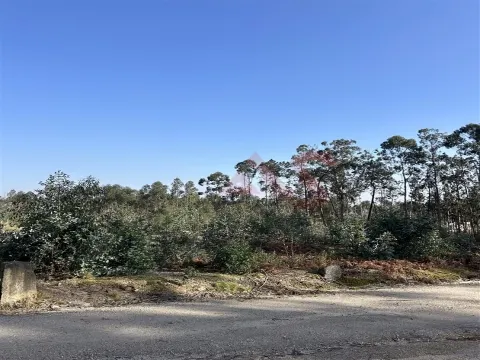 Terreno para Construção em Sanfins – 5.300 m² | Excelente Oportunidade