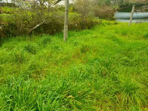 Terreno para Construção em Nevogilde, Lousada – 1.999 m² | Excelente Oportunidade