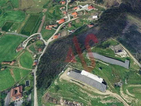 Terreno misto com 4800m2 em Silvares, Lousada