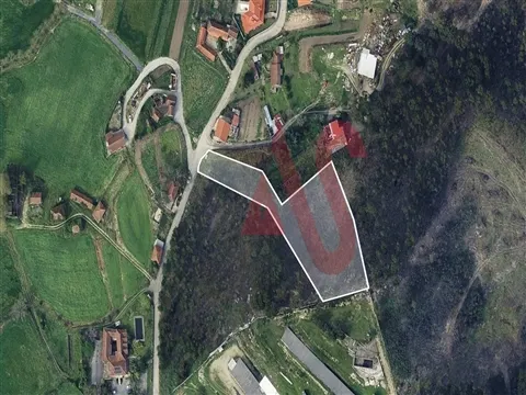 Terreno misto com 4800m2 em Silvares, Lousada