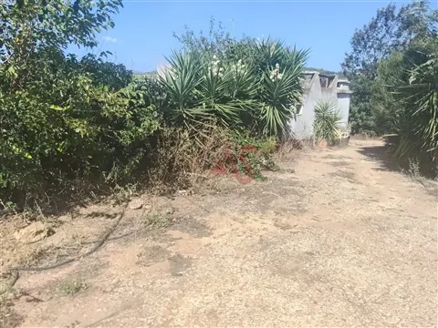 Moradia para Restauro em Odiáxere, Lagos | 9.000 m² | Grande Potencial para Turismo Rural