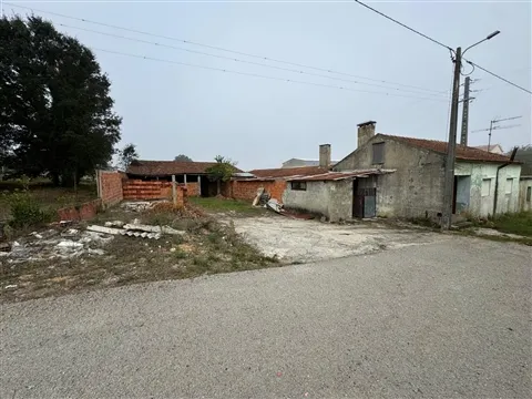 img_61