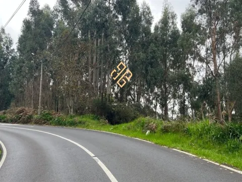 Land / Santa Cruz - Madeira Island