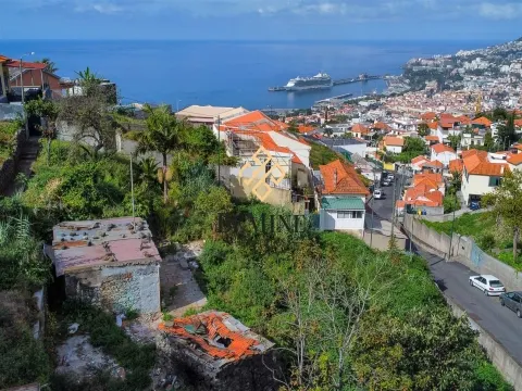 Land / Funchal, Madeira Island