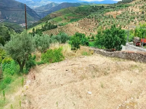 Terreno urbano em Vila Seca, Armamar, disponível para construção de armazém agrícola.