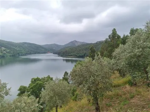 房地产土地 3个房间