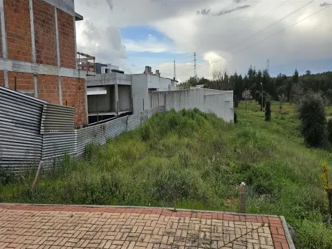 Terreno Urbano