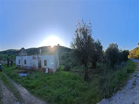 img_18