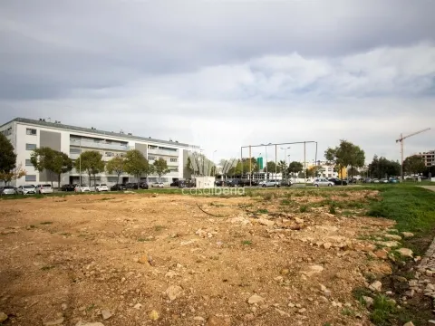 Grundstück - São Clemente - Loulé