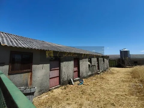 Fabbrica/Immobile Industriale