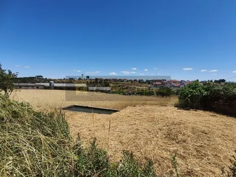 Fabbrica/Immobile Industriale