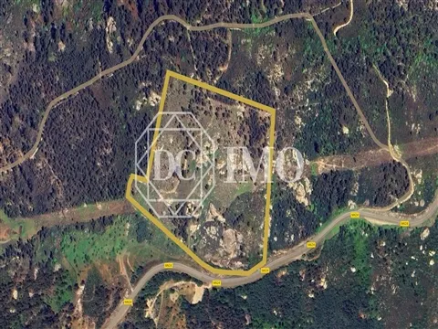 Rustico Terreno