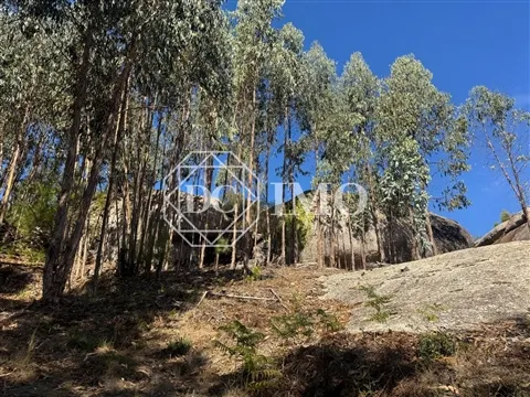 Rustico Terreno