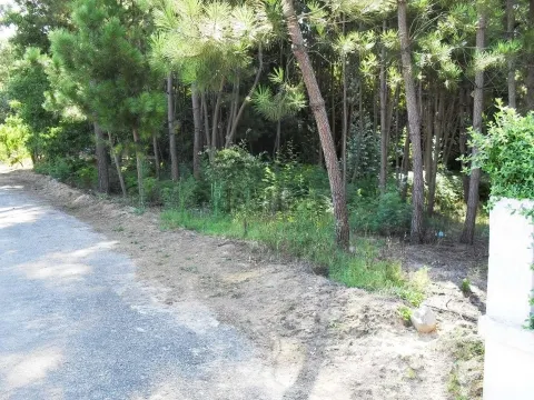Terreno para construção na Ermida -  Tondela