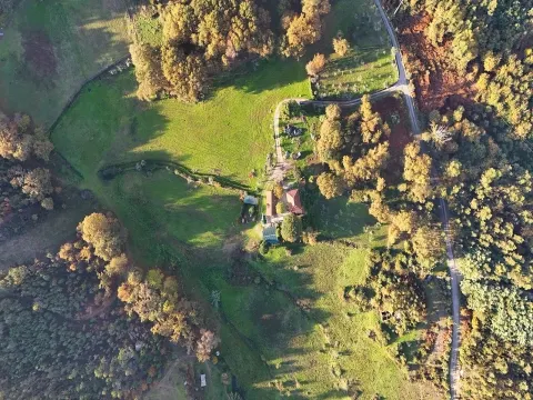 finca