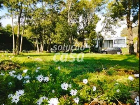 Appartamento 2+ camere