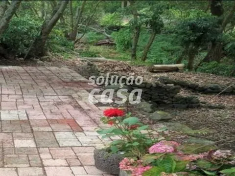 Appartamento 2+ camere