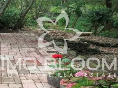 Appartamento 2+ camere