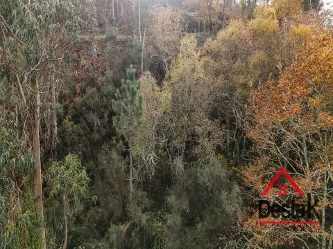 Piece of Real Estate