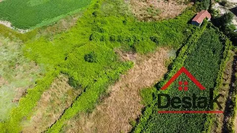 Terreno rústico Oliveira de Frades